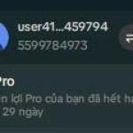 Capcut Pro Tháng - Tài Khoản Tạo Sẵn